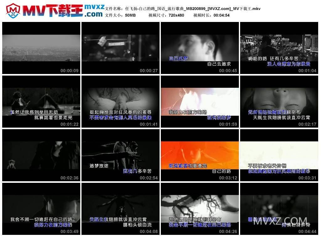 任飞扬-自己的路_国语_流行歌曲_MB200899